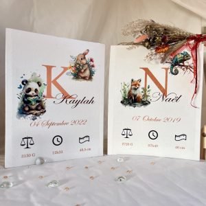 Tableau de naissance v1 et v2