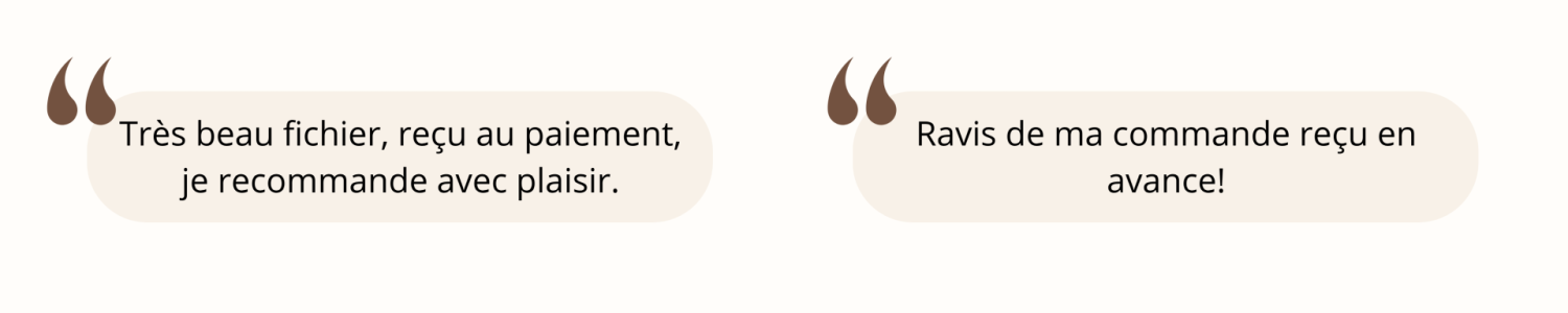 Très beau fichier, reçu au paiement, je recommande avec plaisir. (2)